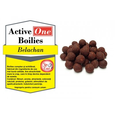 Boilies Active One Belachan 1kg