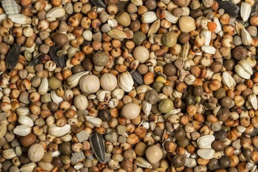 Mix Semințe Special SipCarp 1kg
