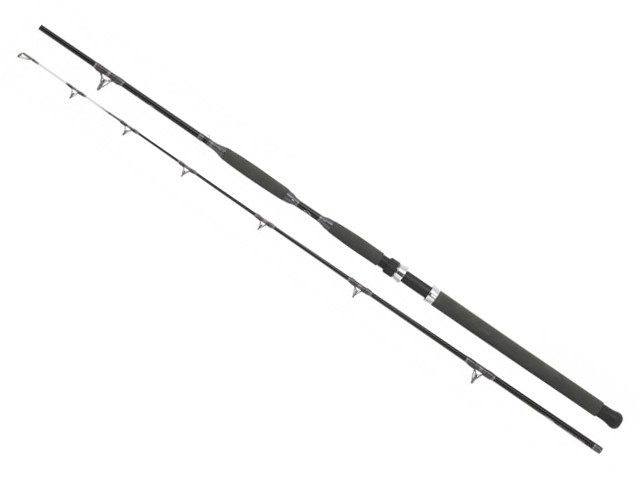 Lansetă WFT Carbon Never Crack BankCat 3m 200-1000g