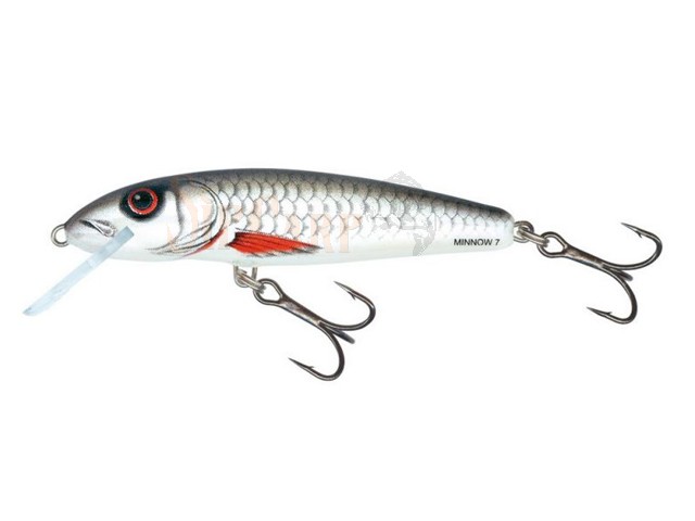 Vobler Salmo Minnow M7F D 7cm 6g