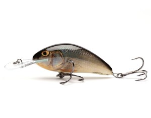 Vobler Salmo Hornet H9F Real Roach 9cm 36g floating