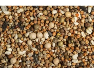 Mix Semințe Special SipCarp 1kg