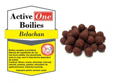 Boilies Active One Belachan 1kg