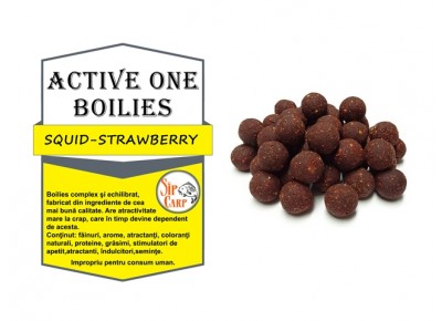 Boilies Active One Squid-Strawberry 1kg